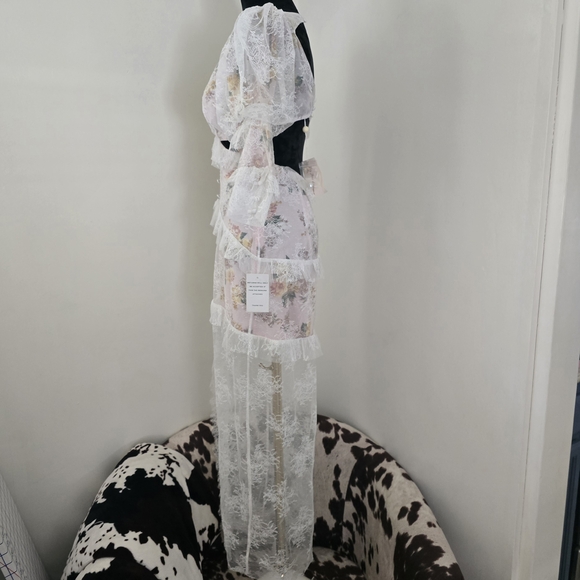 FOR LOVE & LEMONS Pearl Maxi Dress in Blush - Picture 6 of 16